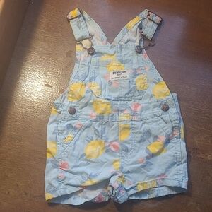 OshKosh B'gosh Light Blue Shortalls with Lemon and Pink Accents